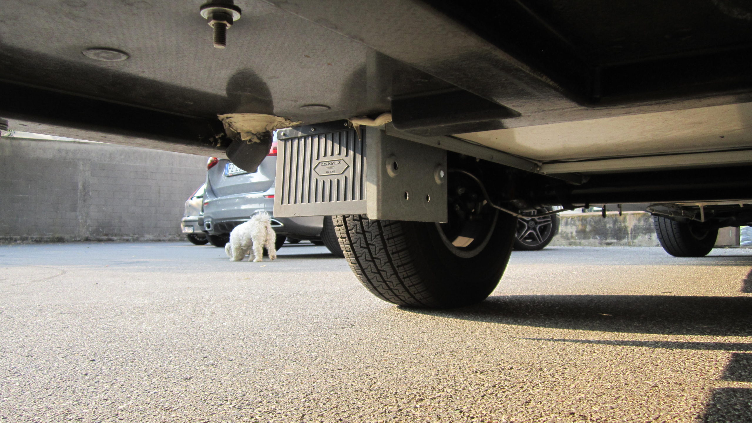 20201202_101350-scaled-1.jpg